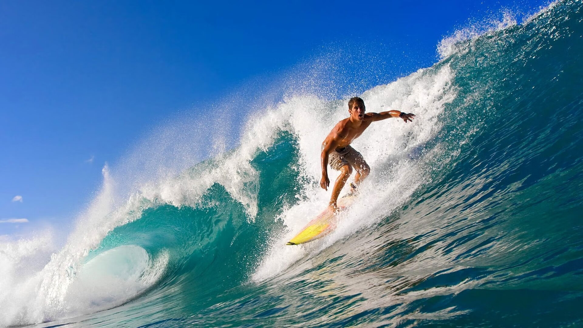 球场上的“战斗精神”：永不言败的欧冠队伍，欧冠口号